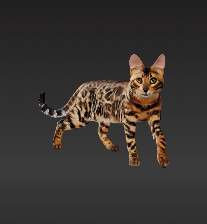 3D Pet Memorial Model-Clay material-Customized Size 8-15CM