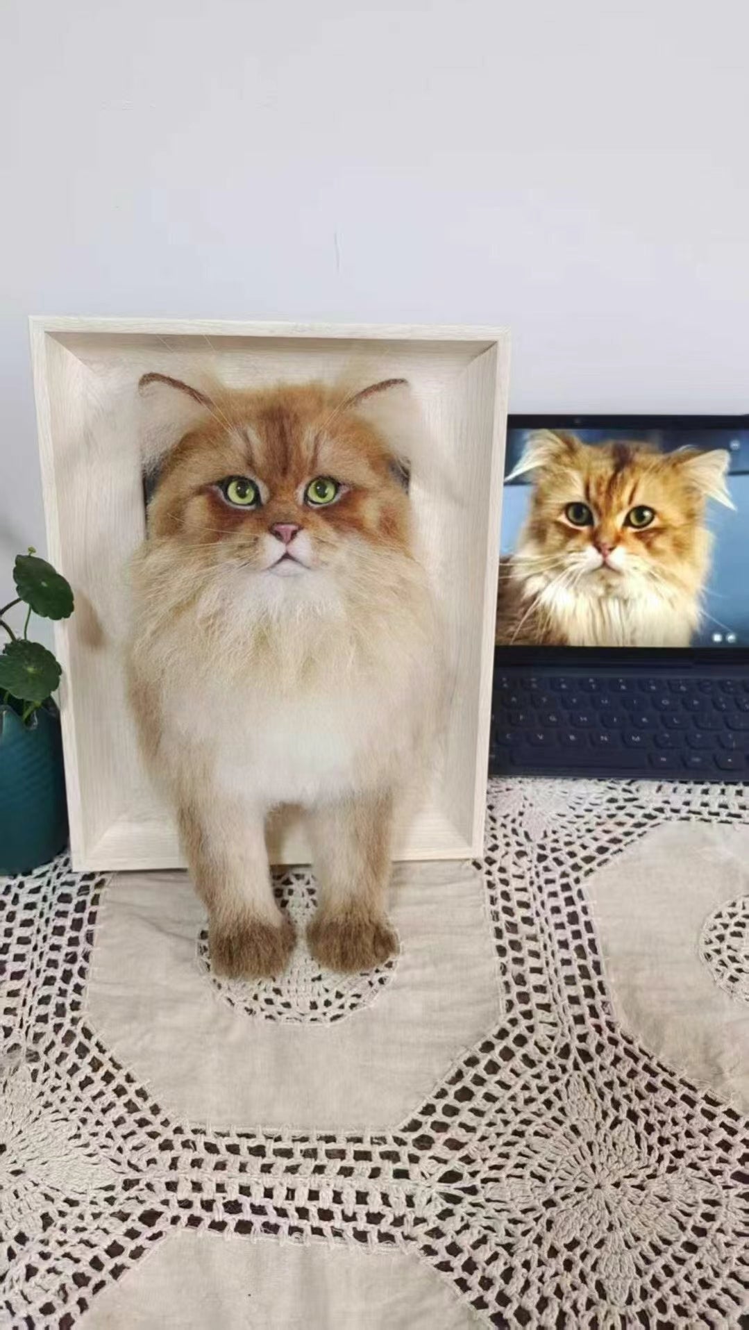 3D Pet Memorial Photo Frame-Simulated Fur-Custom Size