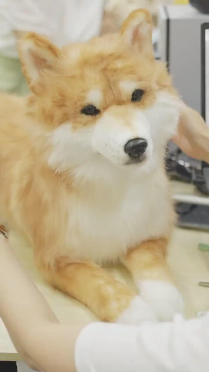 Pet 3D Memorial Model-Simulation Fur-Customized Size 15-80CM
