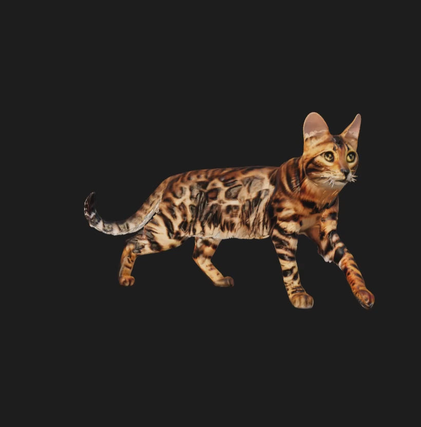 3D Pet Memorial Model-Clay material-Customized Size 8-15CM