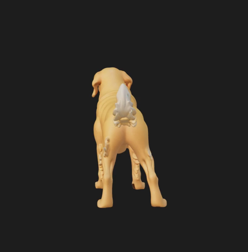 3D Pet Memorial Model-Environmentally friendly resin-Customized Size 15-50CM